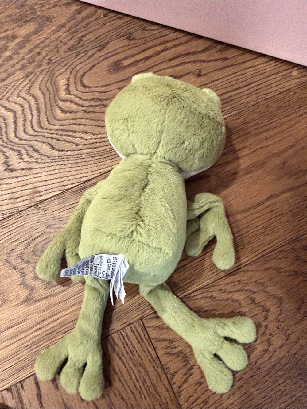 Jellycat - Finnegan Frog (Retired) - Picture 3 of 4